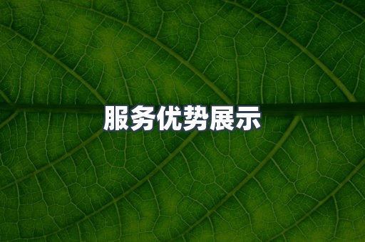 服务优势展示